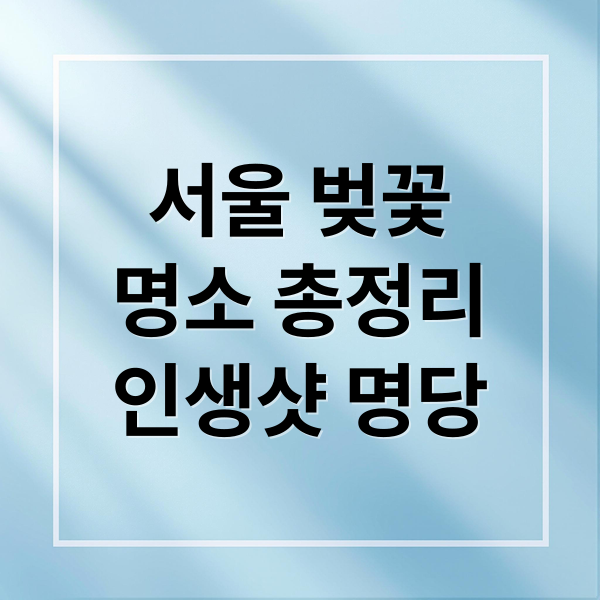 나만 알고 싶은 서울 벚꽃 숨은 명소 5곳