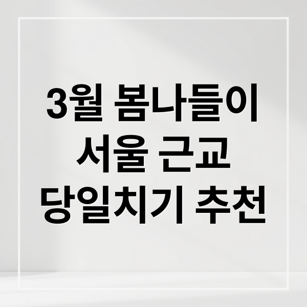 3월 서울 근교 당일치기 추천: 벚꽃 명소부터 아이와 가볼 곳까지