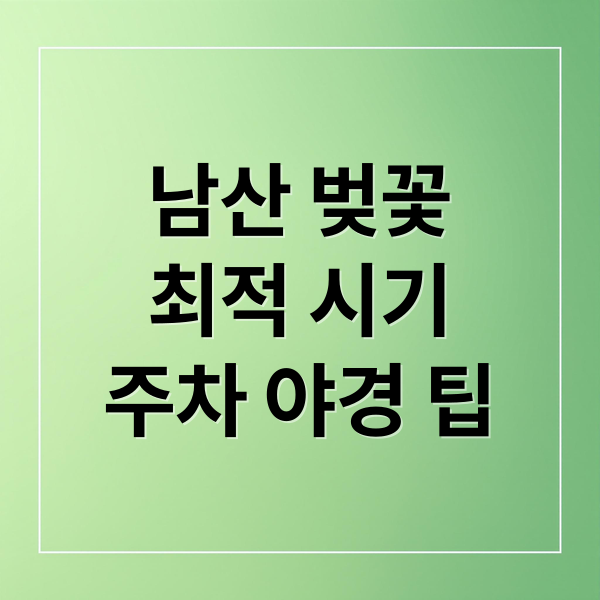 남산 벚꽃길 완벽 가이드