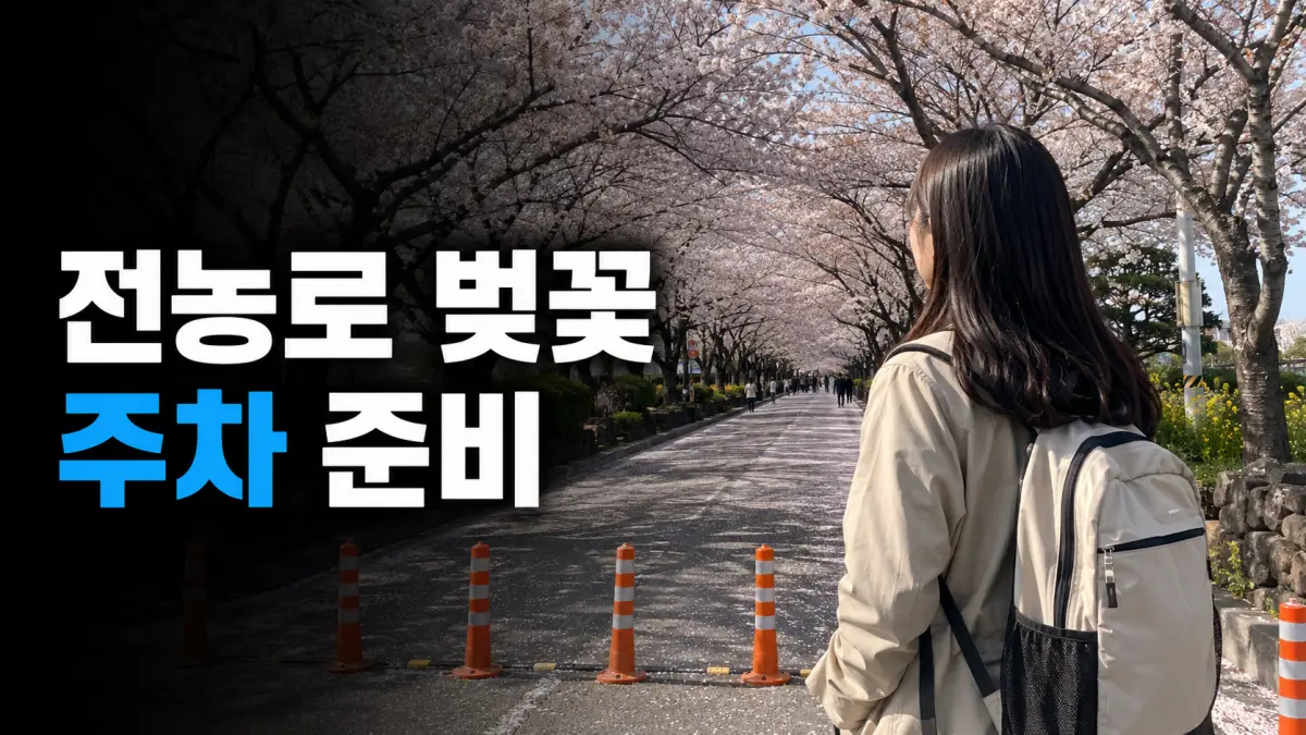 제주 전농로 왕벚꽃길과 차량 통제 구간을 바라보는 여행자