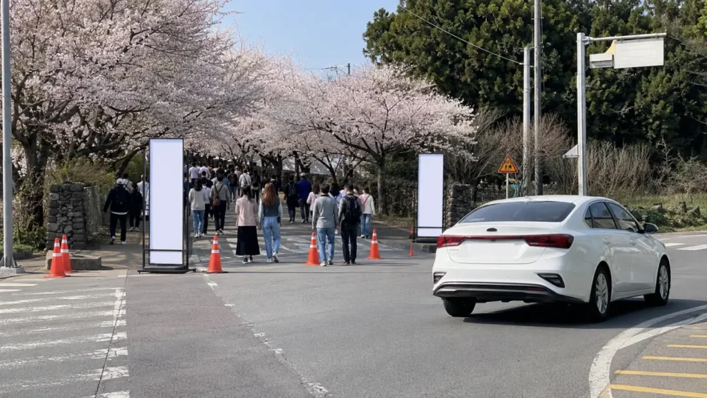 전농로 벚꽃축제 차량 통제 구간에서 우회하는 렌터카와 방문객