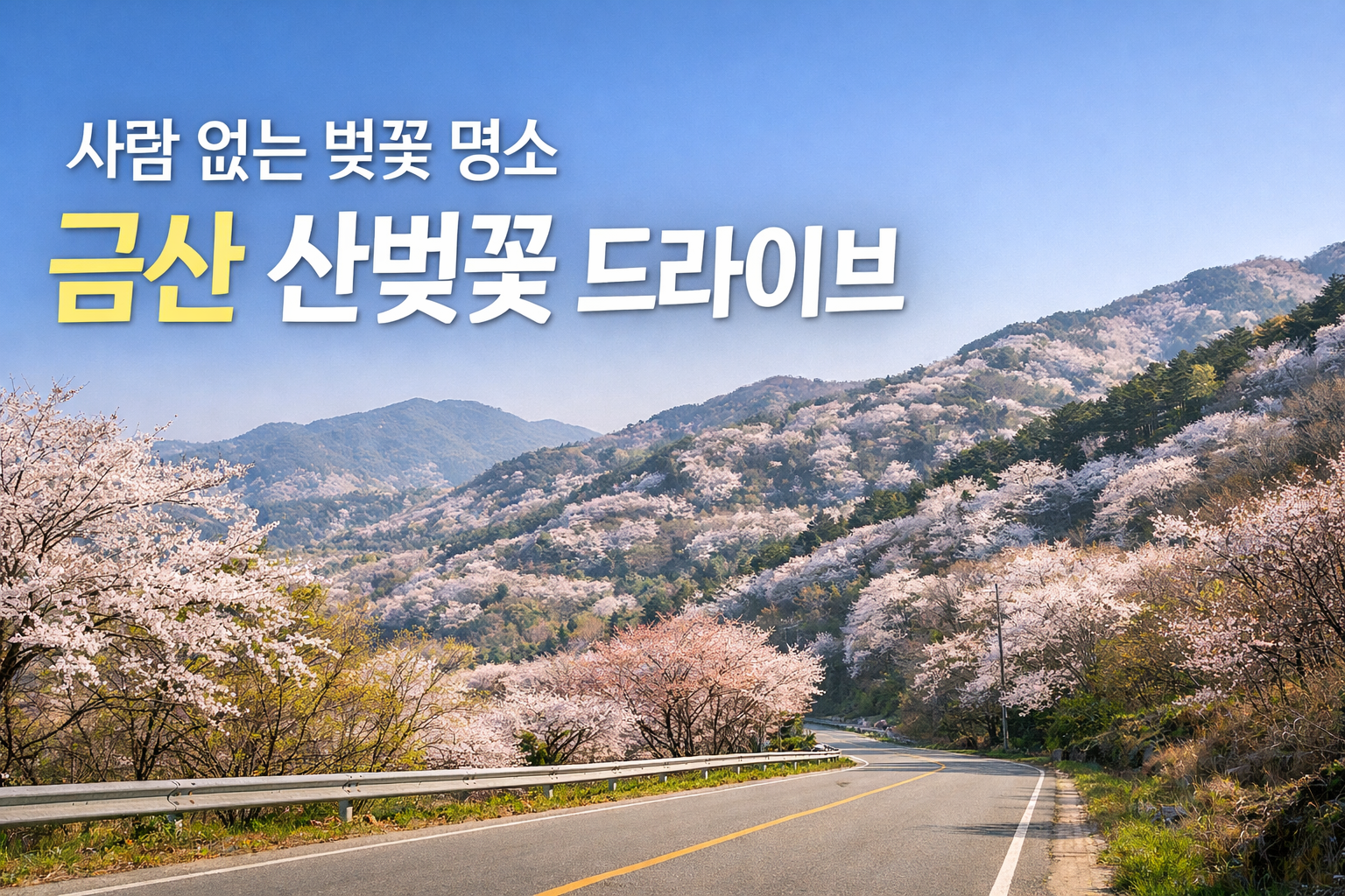 사람 없는 벚꽃 명소 1곳: ‘산벚꽃’이 장관인 금산 자전거길 드라이브 코스